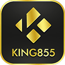 king855 favicon